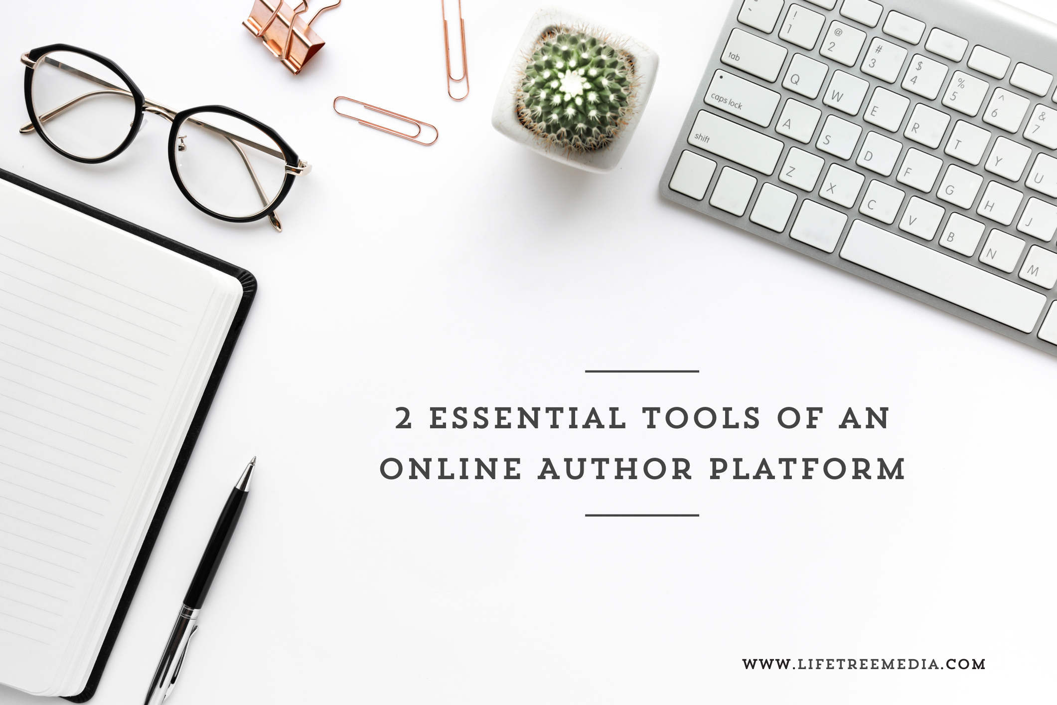 2 essential tools of an online author platform